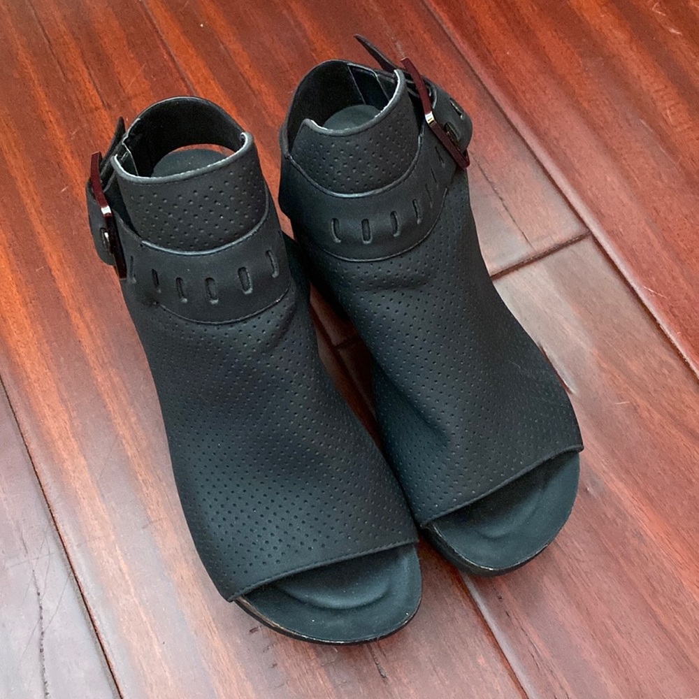 Pierre Dumas wedges